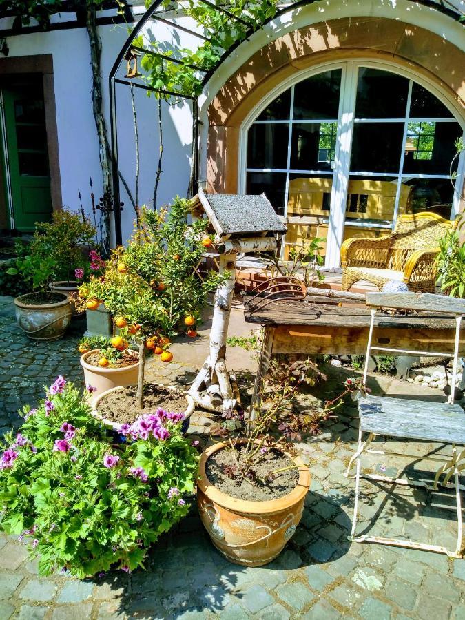 Oase Der Geborgenheit Apartment Venningen Екстериор снимка